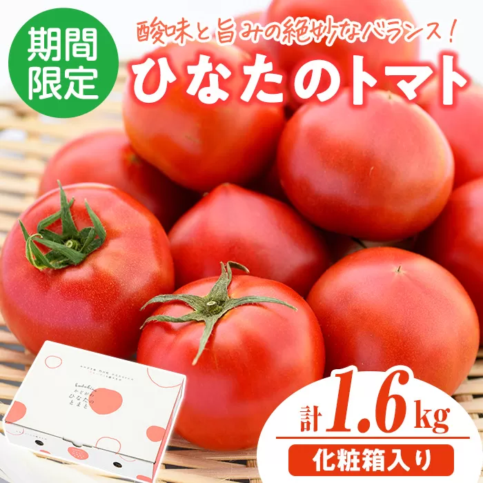 ＜先行予約受付中！2026年2月から5月の間に発送予定＞門川ひなたのトマト(800g×2箱) 高糖度 トマト フルーツトマト 野菜 旬野菜 冷蔵 門川町産 宮崎県 門川町 【TM-02】【宮崎県農業協同組合日向地区本部(門川選果場)】