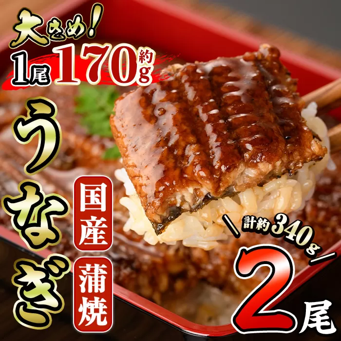 国産 うなぎ 蒲焼 (約170g×2尾) 鰻 タレ かば焼き うな重 うな丼 ひつまぶし 小分け 真空包装 真空パック 【AW-17】【丸正水産】