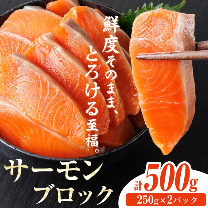 生食用 サーモン ブロック(計500g・250g×2P) 鮭 小分け 真空 パック 冷凍 刺身 シャケ サケ 魚 魚介 【AW-98】【丸正水産】