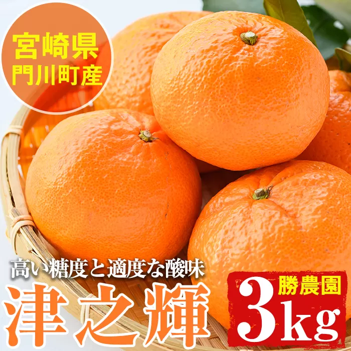 宮崎県門川町産津之輝(約3kg) みかん ミカン 蜜柑 柑橘 果物 くだもの フルーツ 冷蔵 宮崎県 門川町 【AE-14】【勝農園】