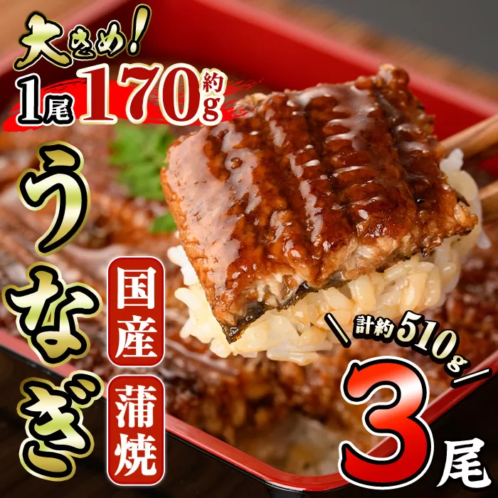国産 うなぎ 蒲焼 (約170g×3尾) 鰻 タレ かば焼き うな重 うな丼 ひつまぶし 小分け 真空包装 真空パック 【AW-90】【丸正水産】