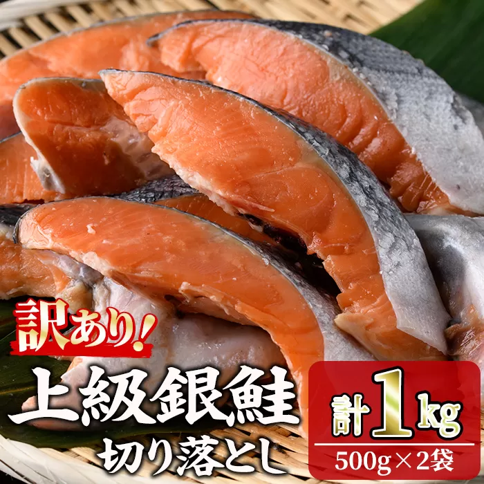＜訳あり＞ 甘塩 銀鮭切り落とし (1kg・500g×2) 甘塩 小分け 切り身 鮭 海鮮 魚介類 さけ 鮭 しゃけ 鮭切身 カット済 塩焼き 簡単 フライ 魚 海鮮 冷凍 お弁当 おかず 【KI-20】【イチマル食品加工】