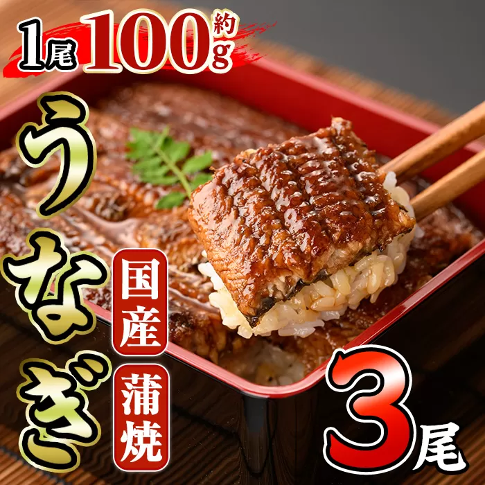 国産 うなぎ 蒲焼 (約100g×3尾) 鰻 タレ かば焼き うな重 うな丼 ひつまぶし 小分け 真空包装 真空パック 【AW-95】【丸正水産】