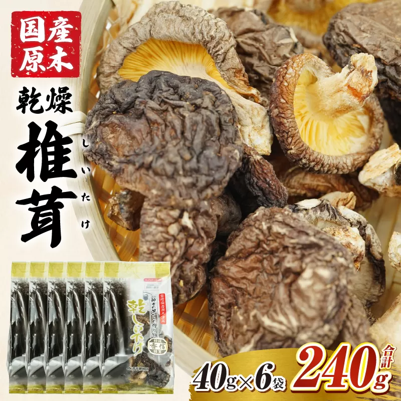 乾燥しいたけ 40g×6袋 240g 椎茸 小分け パック 小袋 個包装 個別包装 出汁取り 使い切り 使い勝手 普段使い お吸い物 きのこ キノコ類 干ししいたけ 乾しいたけ 原木栽培 乾燥しいたけ 常温 グルメ お取り寄せ おすすめ 宮崎県 高千穂町 _Tk004-039