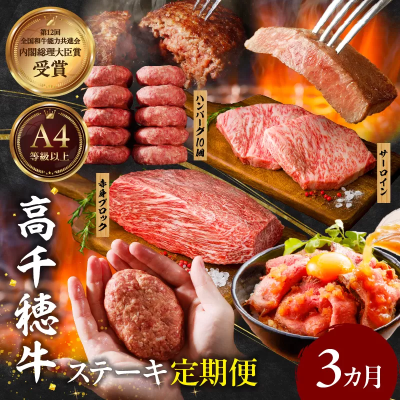 【3か月定期便】 高千穂牛ステーキ定期便 牛肉 肉 お肉 サーロイン ステーキ 赤身 赤身ブロック 定期便 定期 国産牛 ブランド牛 和牛 ローストビーフ ハンバーグ 国産 贈答 贈り物 簡単調理 おかず 普段使い 宮崎県 高千穂 _Tk002-t083