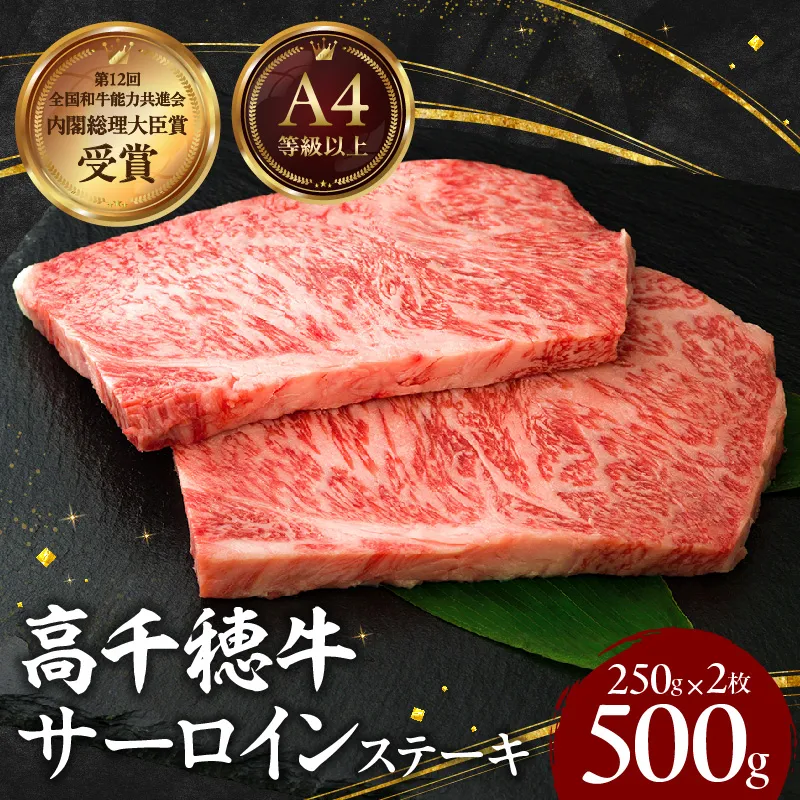 宮崎県産黒毛和牛A4等級以上 高千穂牛サーロインステーキ 250g×2枚 計500g 牛肉 肉 お肉 サーロイン ステーキ ステーキ肉 ブランド牛 和牛 国産牛 国産黒毛和牛 贈り物 贈答 ギフト プレゼント お祝い 内祝い グルメ 記念日 _Tk002-063