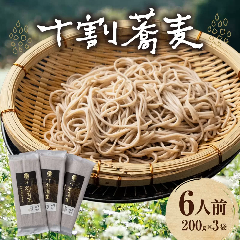 【国産乾そば6人前】そば 高千穂 有機栽培 10割蕎麦 200g×3袋 600g 蕎麦 十割 10割 国産 高千穂町産 乾麺 乾蕎麦 お蕎麦 贈答 贈り物 ギフト プレゼント 手土産 備蓄 保存食 おもてなし 年越し 年越しそば グルメ お取り寄せ おすすめ ご当地 宮崎県 高千穂町 _Tk033-014