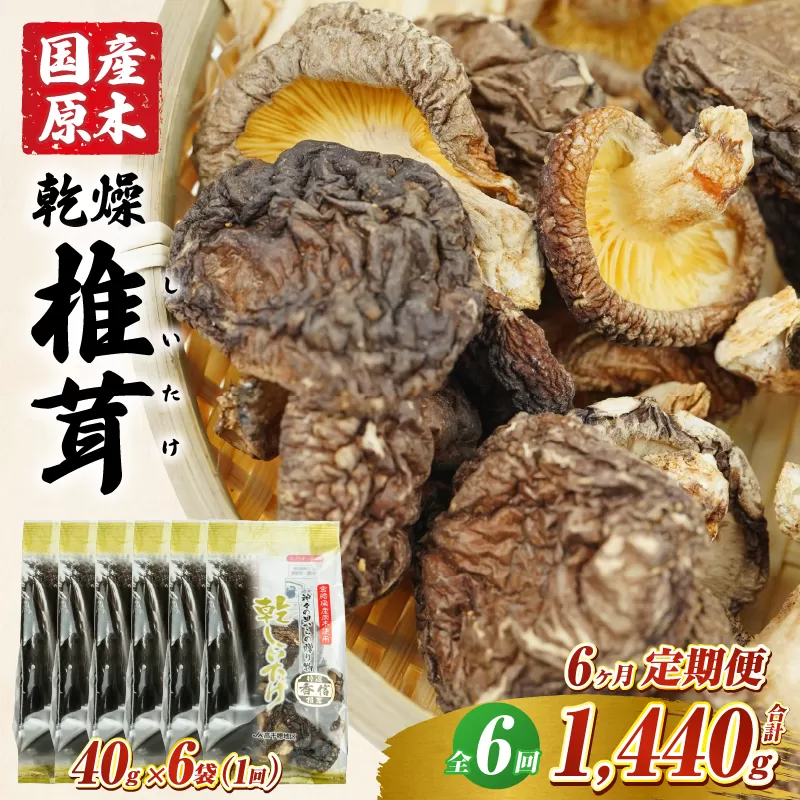 【6ヶ月定期便】乾燥しいたけ 240g（40g×6袋）×6回 1,440g しいたけ 定期便 定期 定期的 国産 宮崎県産 原木 栽培 乾燥 干し椎茸 原木椎茸 国産しいたけ 小分け 袋 小袋 普段使い 使い勝手 使い切り 肉厚 旨み 香り グルメ お取り寄せ 宮崎県 高千穂町 _Tk004-t041