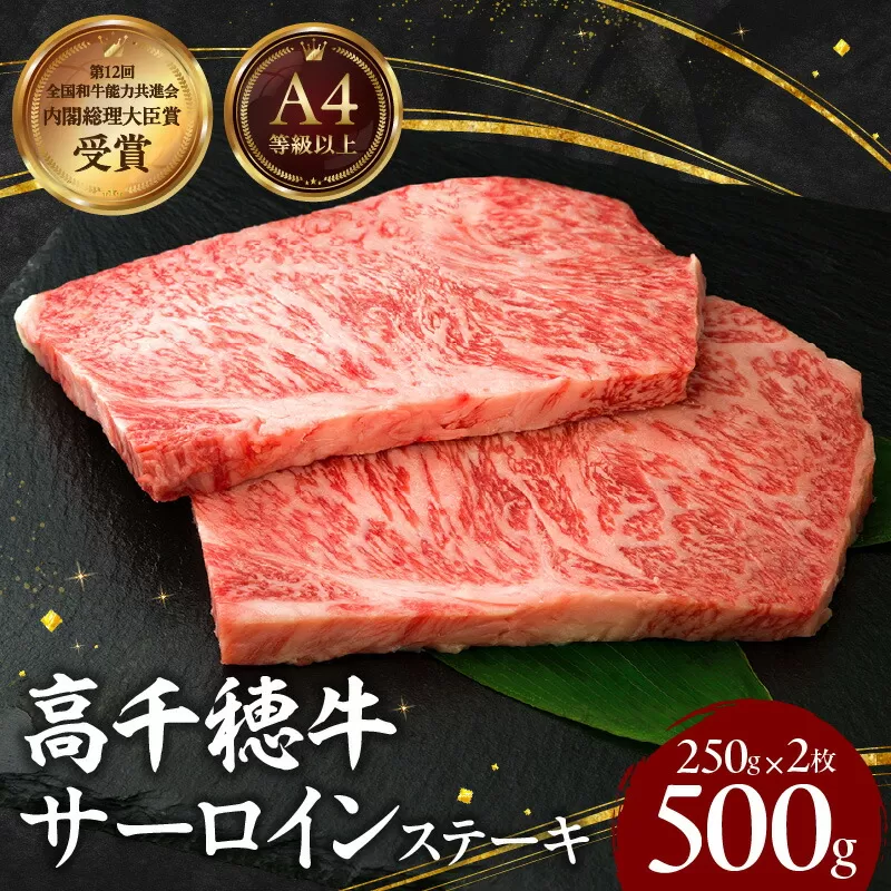 宮崎県産黒毛和牛A4等級以上 高千穂牛サーロインステーキ 250g×2枚 計500g 牛肉 肉 お肉 サーロイン ステーキ ステーキ肉 ブランド牛 和牛 国産牛 国産黒毛和牛 贈り物 贈答 ギフト プレゼント お祝い 内祝い グルメ 記念日 _Tk002-063