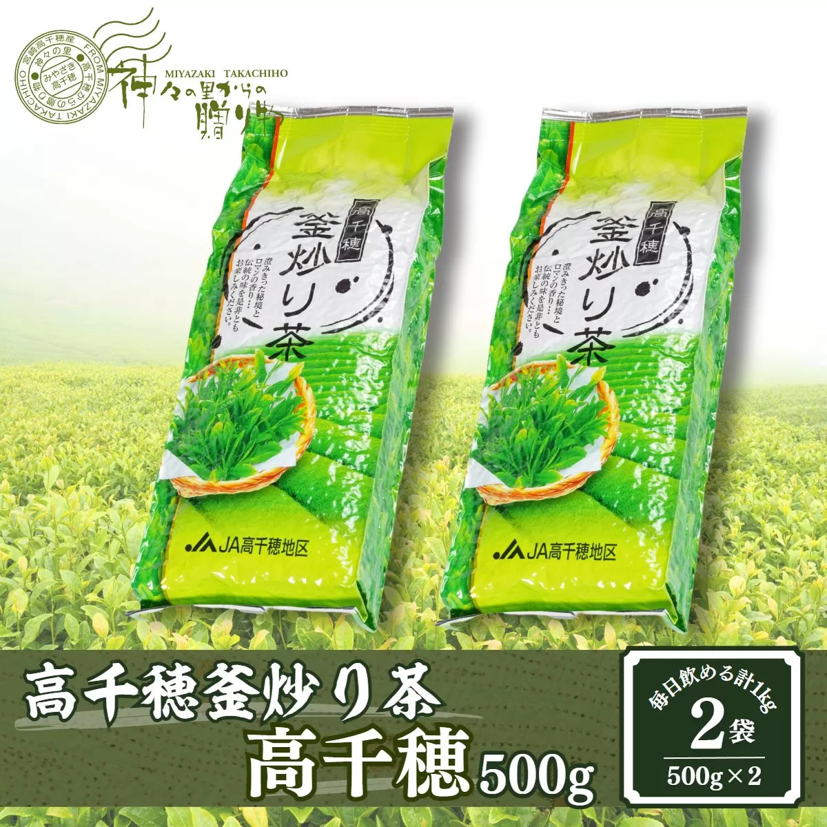 高千穂釜炒り茶（高千穂）500g×2本詰 宮崎県 高千穂町 厳選 緑茶 お茶 茶 緑茶 茶葉 釜炒り茶 2番茶 ドリンク 飲み物 ティータイム おもてなし おすそ分け お取り寄せ 宮崎県 高千穂町 _Tk004-056