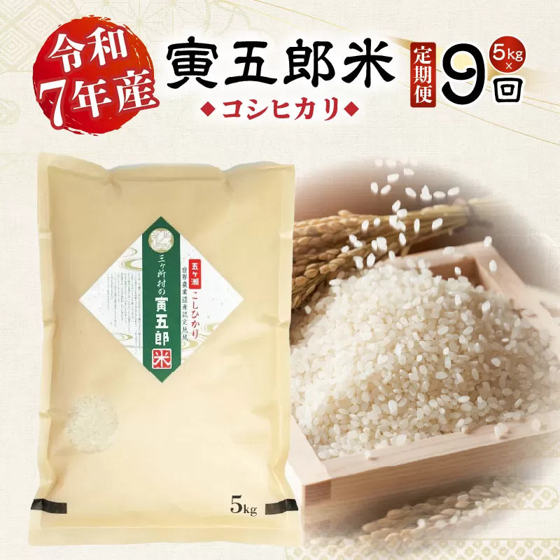 【9か月定期便】【令和7年産】三ヶ所米の寅五郎米コシヒカリ 5kg お米 米 ご家庭用 家庭用 自分用 おすそ分け 寅五郎米 コシヒカリ こしひかり 精米 白米 白飯 白ご飯 棚田 おむすび おにぎり お弁当 炭水化物 主食 お取り寄せ グルメ 普段使い 定期便 _Tk019-t039
