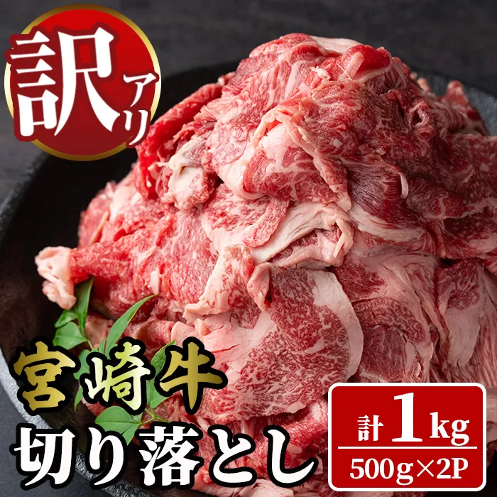 ＜訳あり＞宮崎牛 切り落とし(計1kg・500g×2P) 牛肉 肉 ブランド牛  冷凍 国産 精肉 お取り寄せ 黒毛和牛 宮崎県 【LJ005】【レグセントジョイラー株式会社】