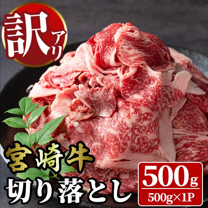 ＜訳あり＞宮崎牛 切り落とし(500g) 牛肉 肉 ブランド牛  冷凍 国産 精肉 お取り寄せ 黒毛和牛 宮崎県 【LJ004】【レグセントジョイラー株式会社】