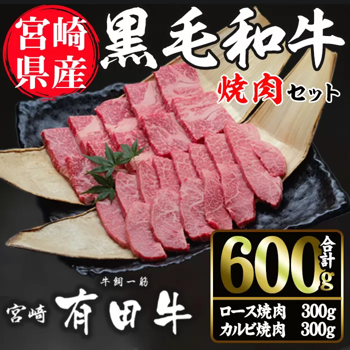 宮崎黒毛和牛焼肉セット(ロース・カルビ各300g)【AR005】【(有)有田牧畜産業 食肉加工センター】