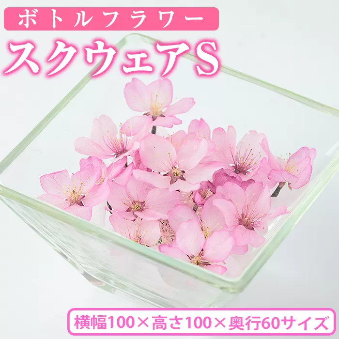 ボトルフラワー スクウェア(S)【AT003】【ボトルフラワーatelier4-flowers】