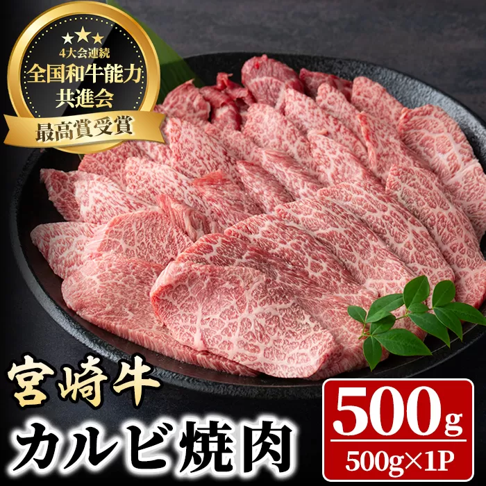 宮崎牛 カルビ焼肉(500g) 牛肉 肉 ブランド牛  冷凍 国産 精肉 お取り寄せ 黒毛和牛 宮崎県 【LJ010】【レグセントジョイラー株式会社】