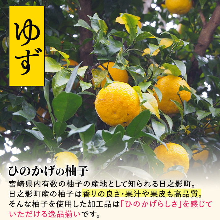 ゆずさん専用10月5日 ゆず葛湯 5袋入 | 吉野本葛 天極堂 オンラインショップ