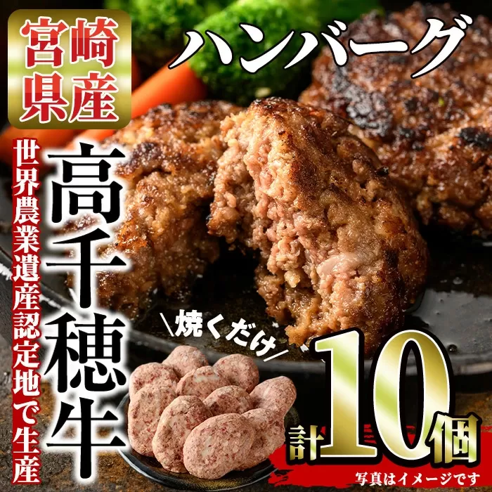 高千穂牛 ハンバーグ(計10個・2個×5P)【MT005】【JAみやざき 高千穂牛ミートセンター】