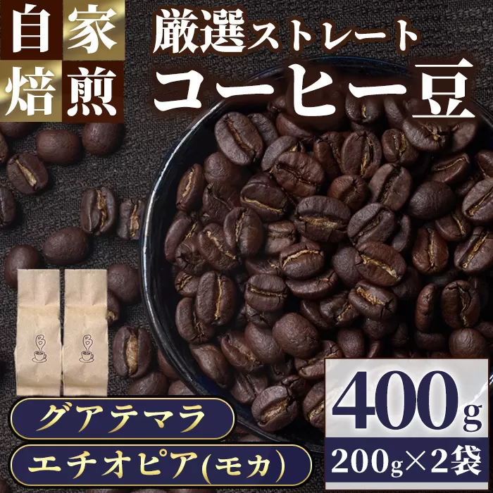  自家焙煎コーヒー豆　厳選ストレート2種400g（グアテマラ200g・エチオピア200g）モカ 珈琲 飲料 ドリンク アウトドア キャンプ おうち時間【BC001】【Backrest Coffee】