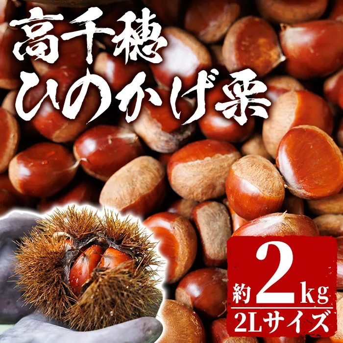 <数量限定・期間限定>ひのかげ栗(2kg)【NK001】【宮崎県農業協同組合 高千穂地区本部】