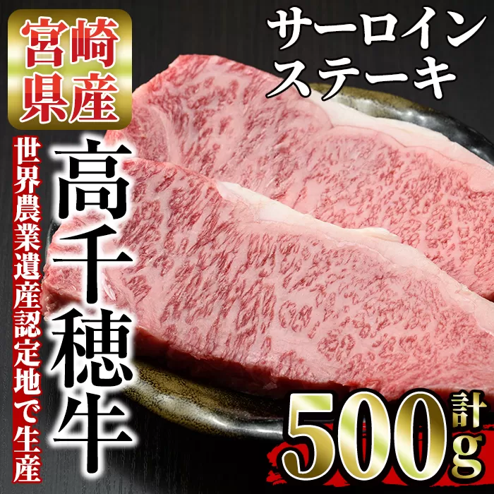 高千穂牛 サーロインステーキ(250g×2枚)【MT013】【JAみやざき 高千穂牛ミートセンター】