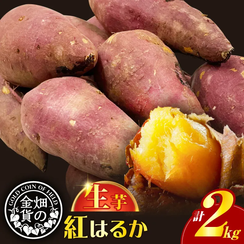 畑の金貨 生芋 紅はるか2kg