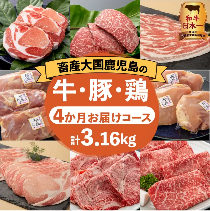 【岩元精肉店】鹿児島県産精肉 厳選4か月お届けコース