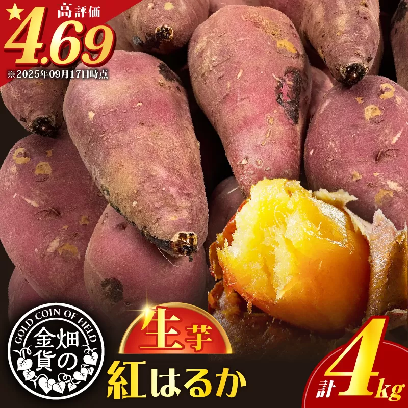 【2025年先行受付】畑の金貨 生芋 紅はるか4kg