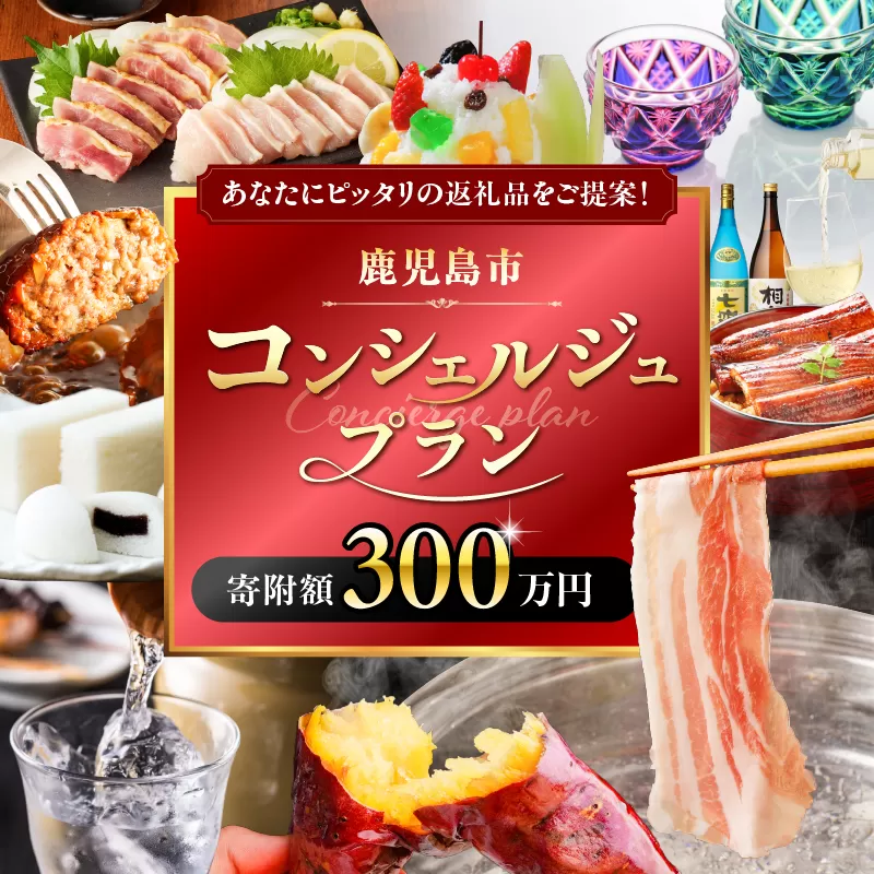 コンシェルジュプラン 寄付額300万円コース