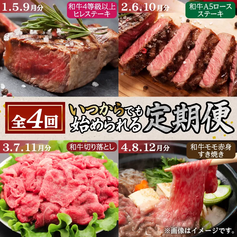 【全4回】水迫畜産の黒毛和牛定期便〈いつからでも始められる〉