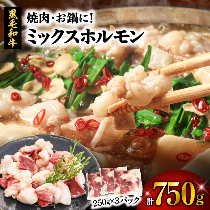 焼肉・お鍋に!ミックスホルモン750g(250g×3パック)
