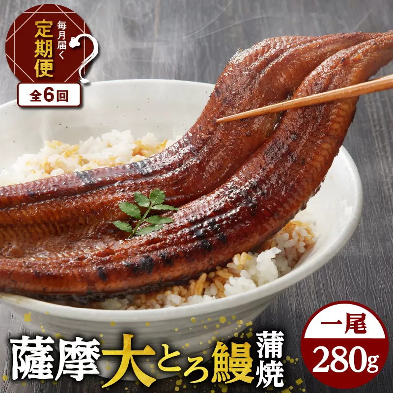 【全6回定期便】薩摩大とろ鰻蒲焼特大サイズ一尾