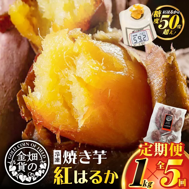 【全5回】【畑の金貨】焼き芋紅はるか1kg 定期便