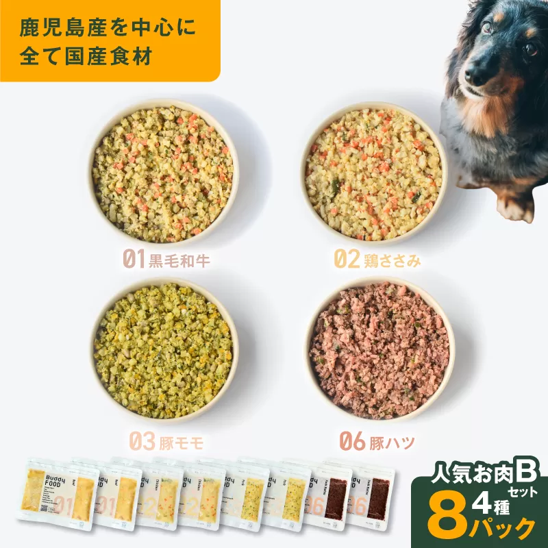 Buddy FOOD 人気お肉セットB 4種8パック