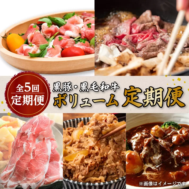 【全5回定期便】黒豚・黒毛和牛ボリューム定期便（7月〜11月便）