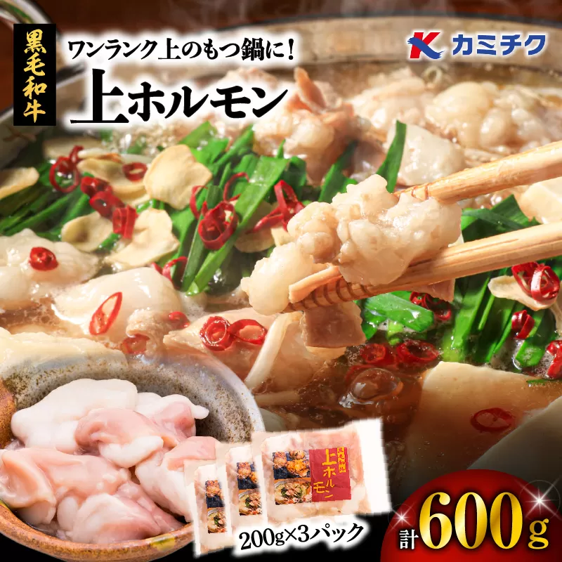ワンランク上のもつ鍋に！上ホルモン600g（200g×3パック）