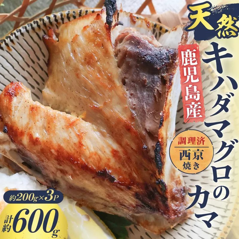 鹿児島産 天然 キハダマグロのカマ約200g×3P 調理済 （西京焼き）