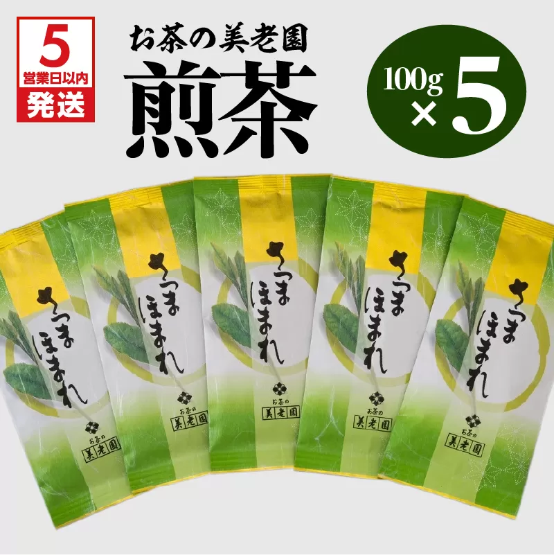 【5営業日以内に発送】お茶の美老園　煎茶