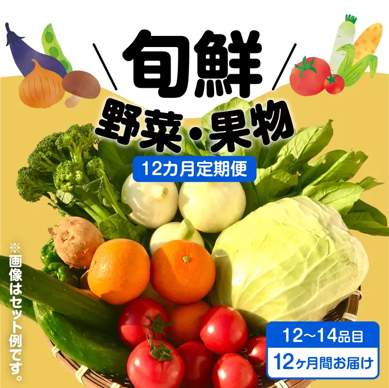 【JA直売所セレクト】12ヵ月定期便！旬鮮野菜・果物セット（12〜14品目）