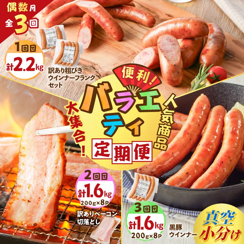 【全3回偶数月】バラエティ定期便