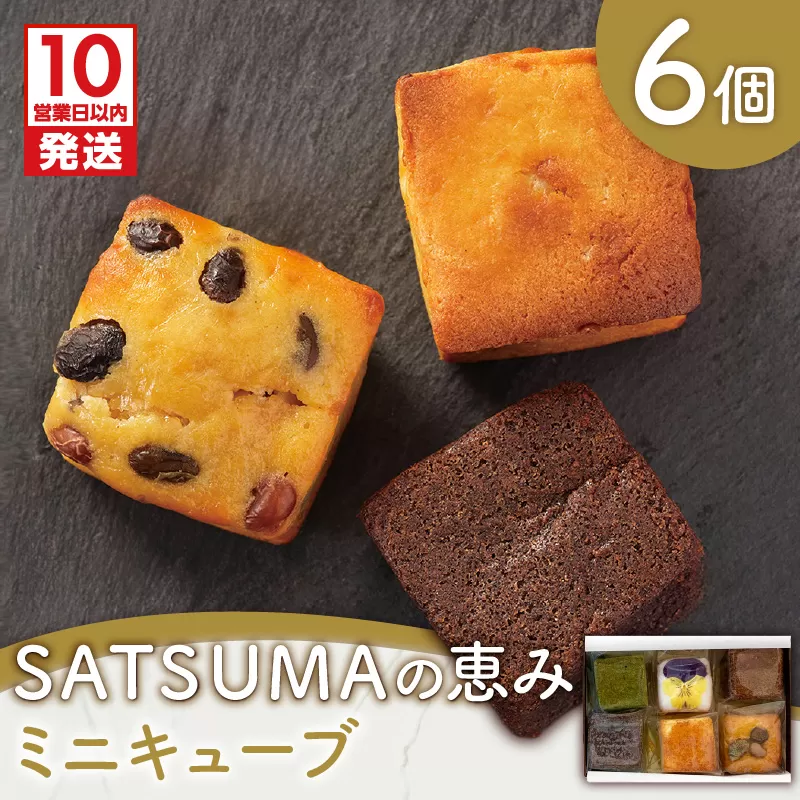 【10営業日以内に発送】SATSUMAの恵み（ミニキューブ） 6個入り