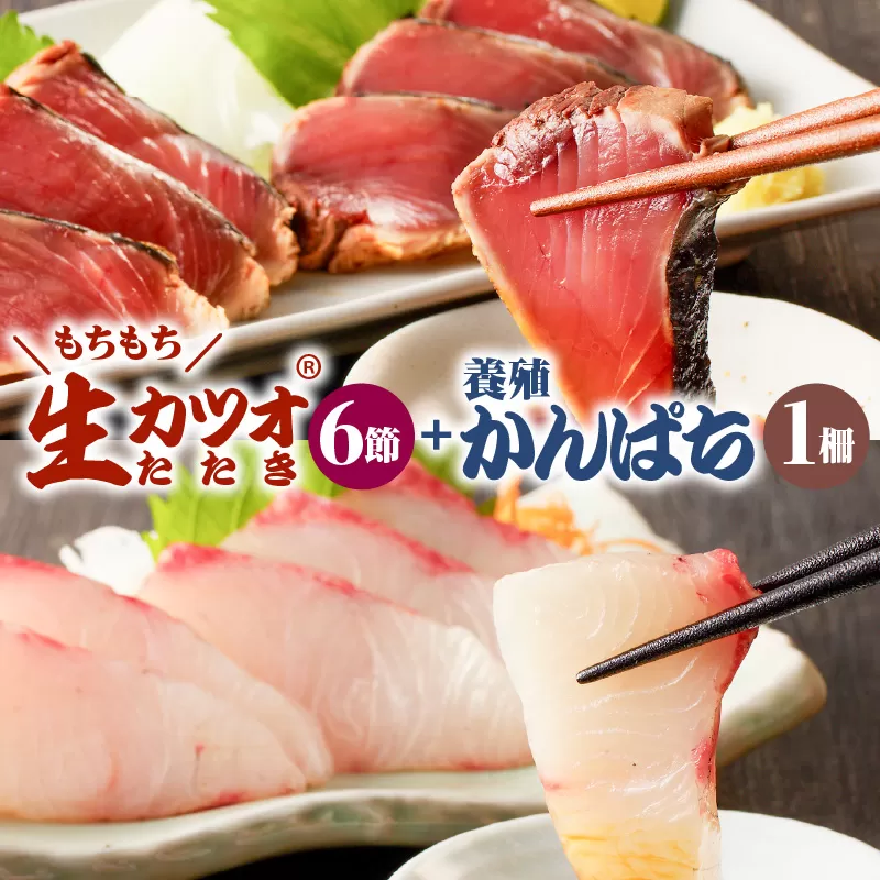 【山実水産】もちもち生カツオ(R)たたき6節+養殖かんぱち柵セット