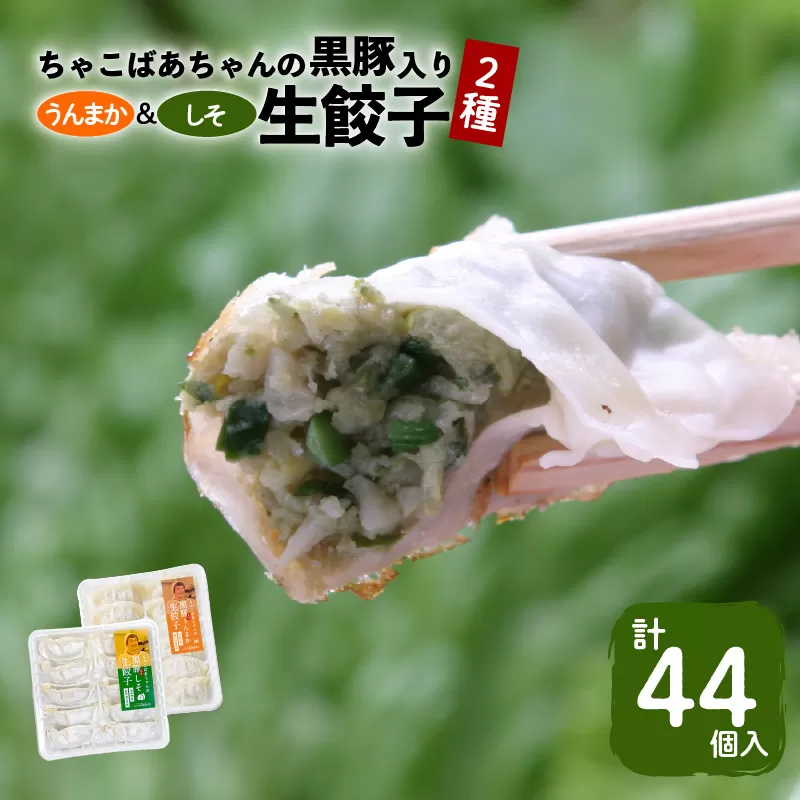 ちゃこばあちゃんの黒豚入りうんまか・しそ生餃子　計44個入り