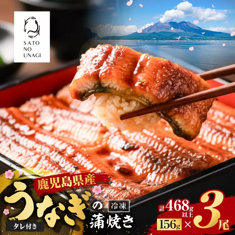 鹿児島県産うなぎ蒲焼 156g×3尾 468g以上