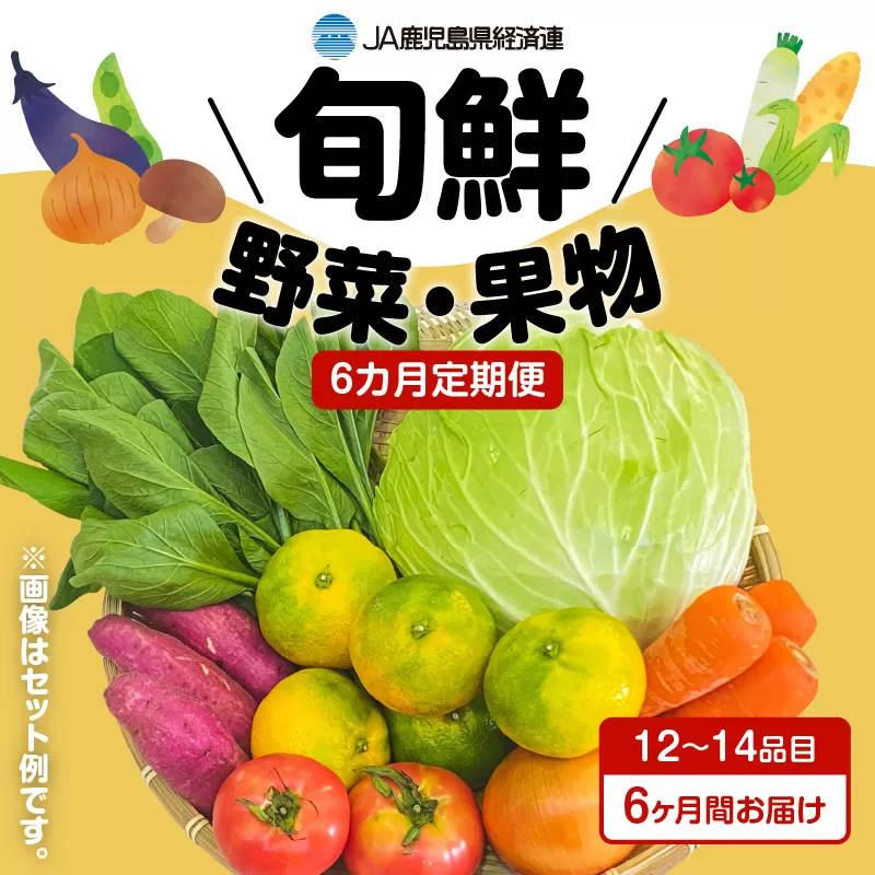 【JA直売所セレクト】6ヵ月定期便！旬鮮野菜・果物セット（12〜14品目）