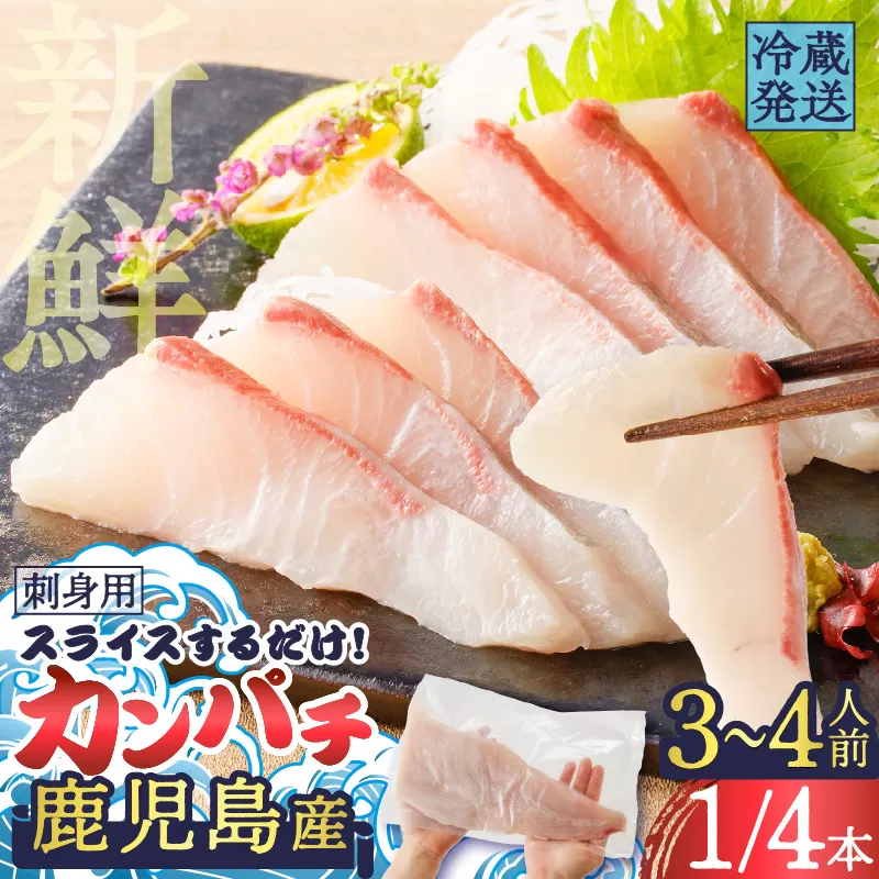 鹿児島産　スライスするだけ！カンパチ刺身用 1/4本 3〜4人前