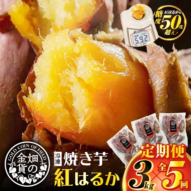 【全5回】【畑の金貨】焼き芋紅はるか3kg 定期便