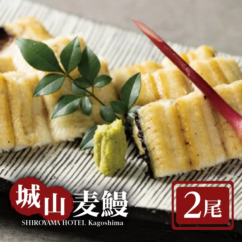 SHIROYAMA HOTEL kagoshima 城山麦鰻