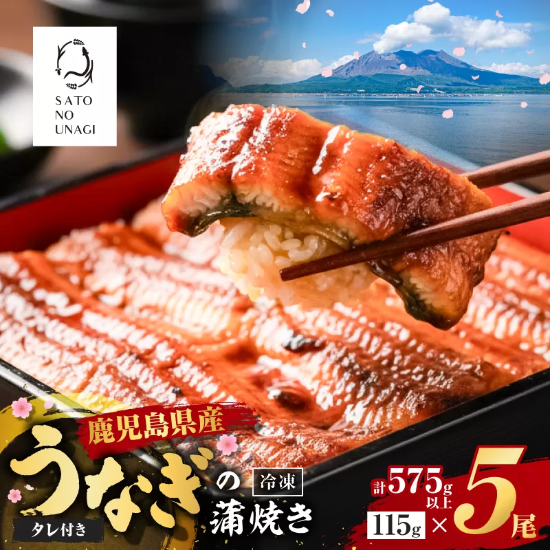 鹿児島県産うなぎ蒲焼 115g×5尾 575g以上