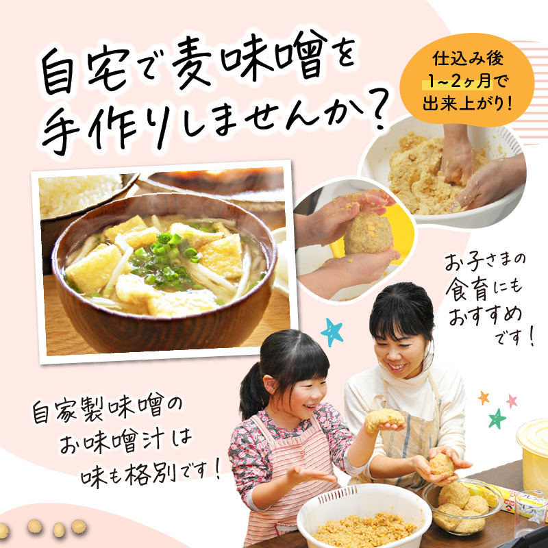 楽天市場】【ふるさと納税】＜2種から選べる＞鹿児島の麦みそ